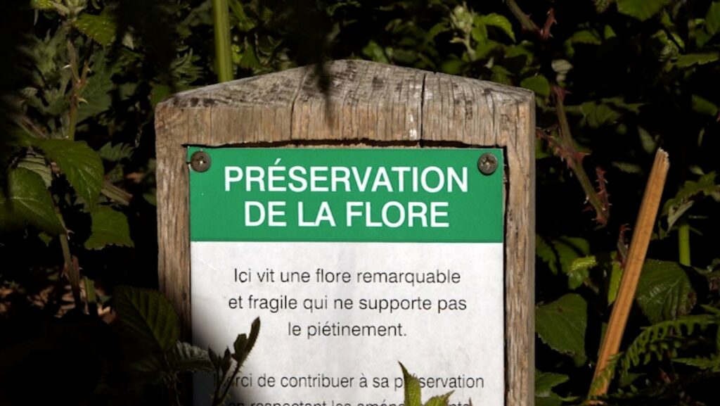 préservation florale