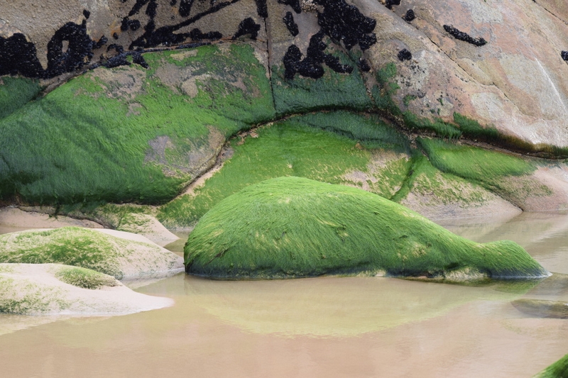 Club photo d’octobre 2025