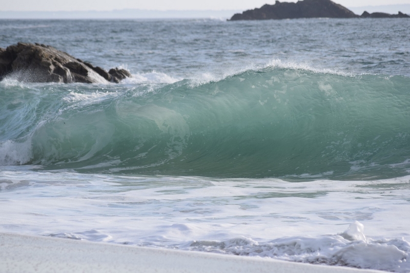 84D4C8DD-9C16-4B2D-9D94-F39231461518_1_105_c