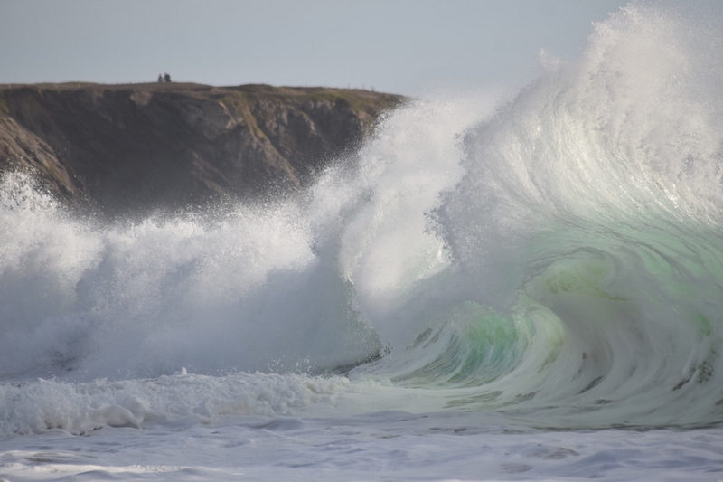 CAF3FEB7-8F31-410C-A3AD-488F903D9632_1_105_c