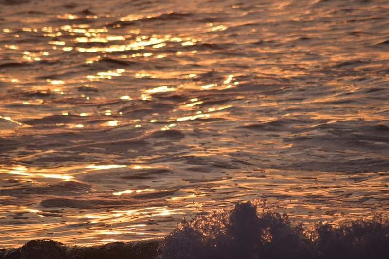 00B71EF8-4226-4FDB-933F-84E2A97D5DD1_1_105_c