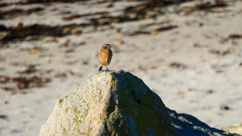 Club photo de novembre 2025 –