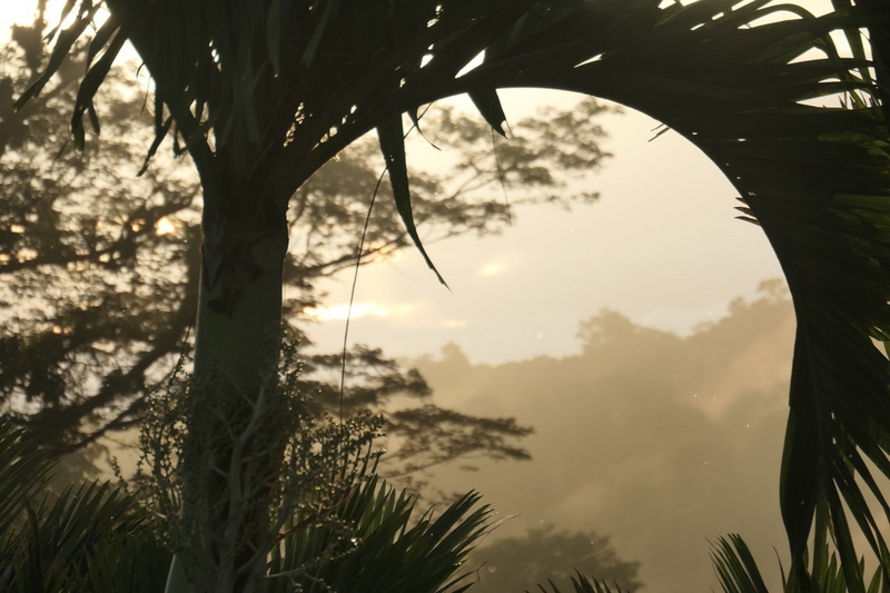 1EA6B83D-EC96-4103-A148-8518A1678948_1_105_c