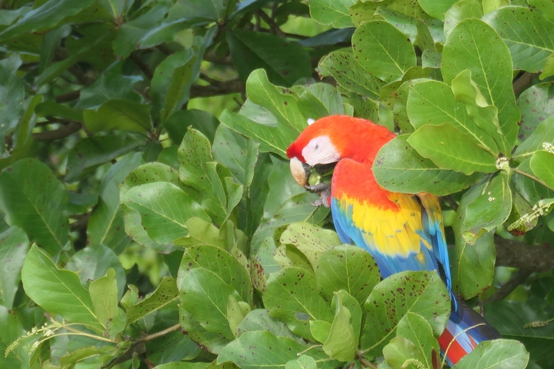 3EF5E179-C3F0-4278-8194-3F08075F405F_1_105_c