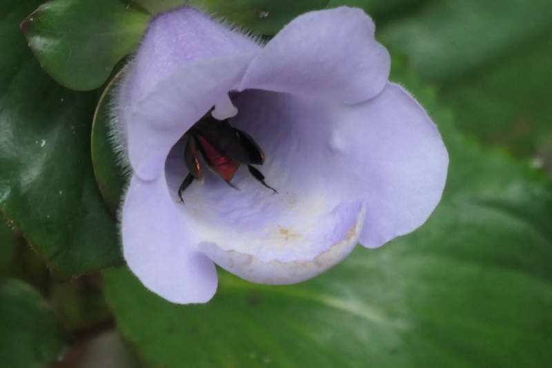 Club photo décembre 2025 –