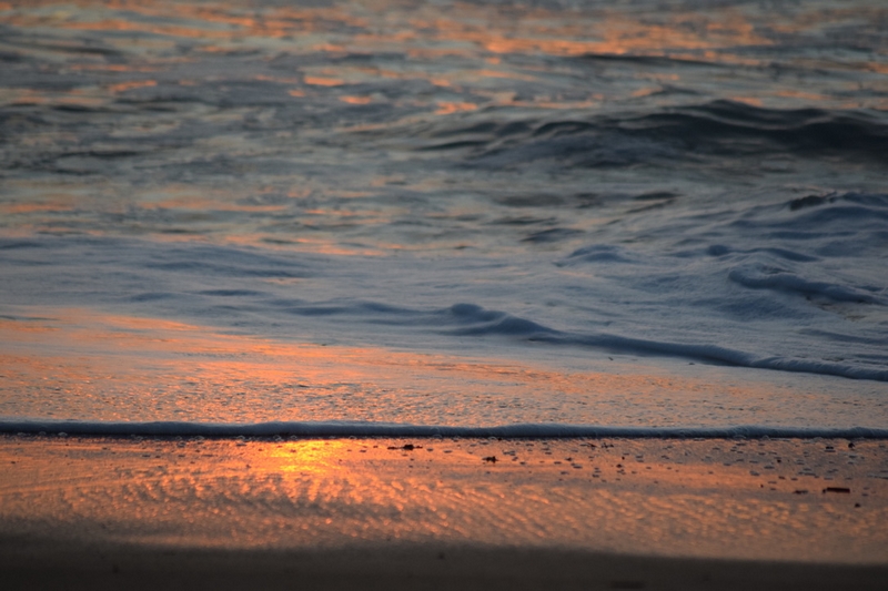 5D87BFD4-BAA1-4C62-8197-2BCE28A3FF88_1_105_c