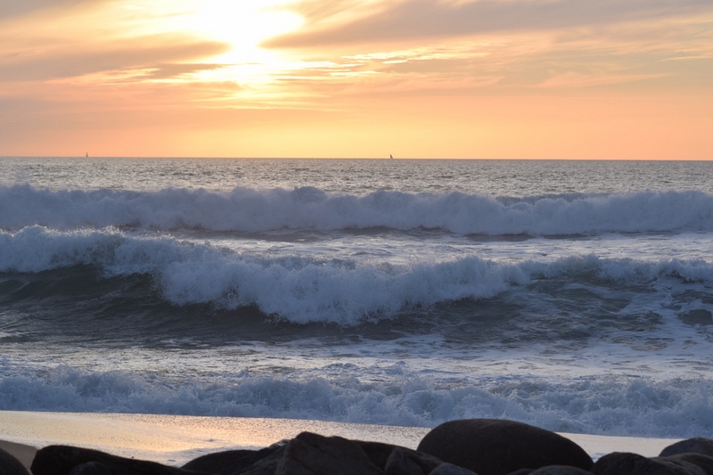 A0422A84-9D8D-4B5B-ADEF-0CE8C6F66FA6_1_105_c