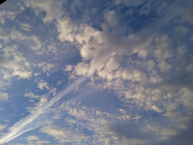 IMG_20230428_073252_1