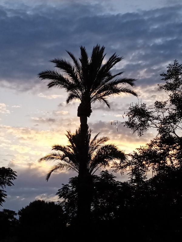 IMG_20230506_205001_1