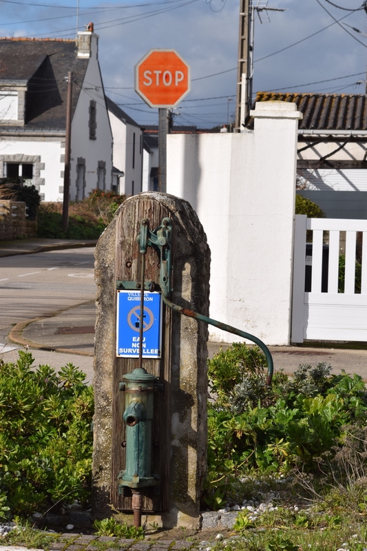 3365A443-8BB4-4D0E-8BCB-3C304C04D112_1_105_c - Copie