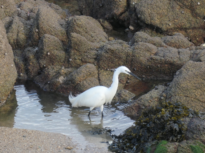 3CC6E4BD-B60C-4BE1-9632-48E851D3200B - Copie