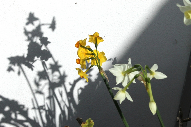 Club photo février 2026