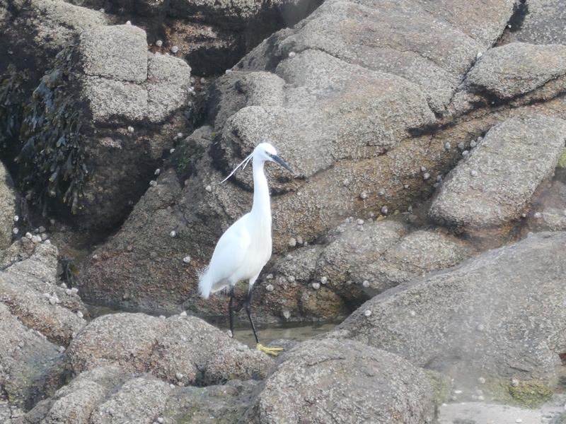 4BB3D302-F402-4562-9518-E38F0E6BC0D7