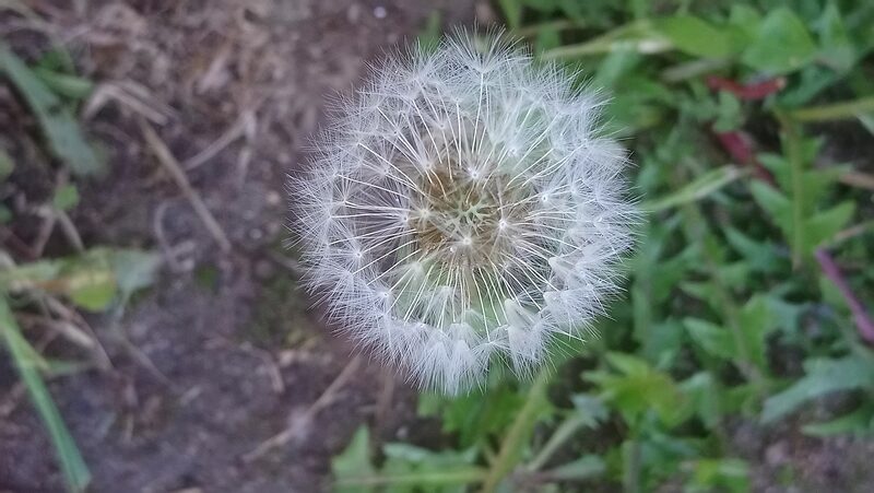 Club photo mars 2026